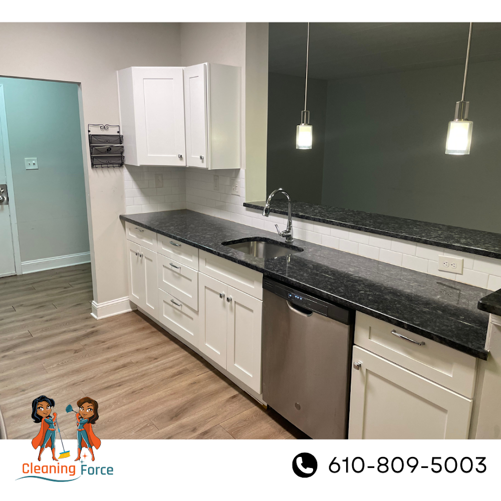 Cleaning Force LLC