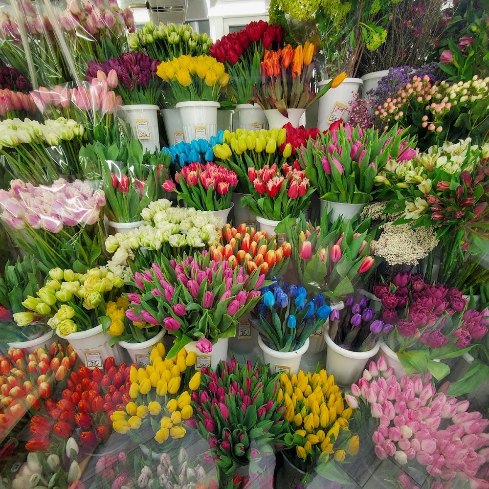 Цветы 24