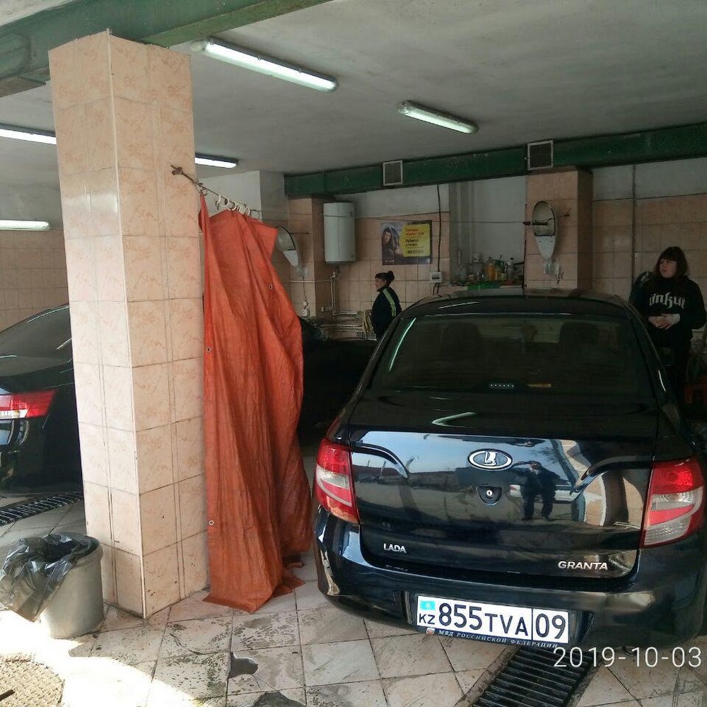 Рыжий кит