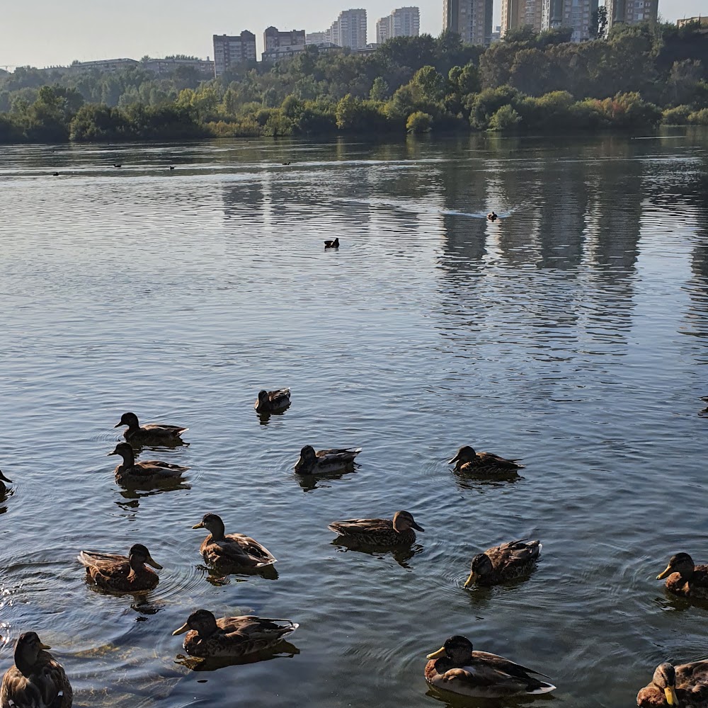Парковка