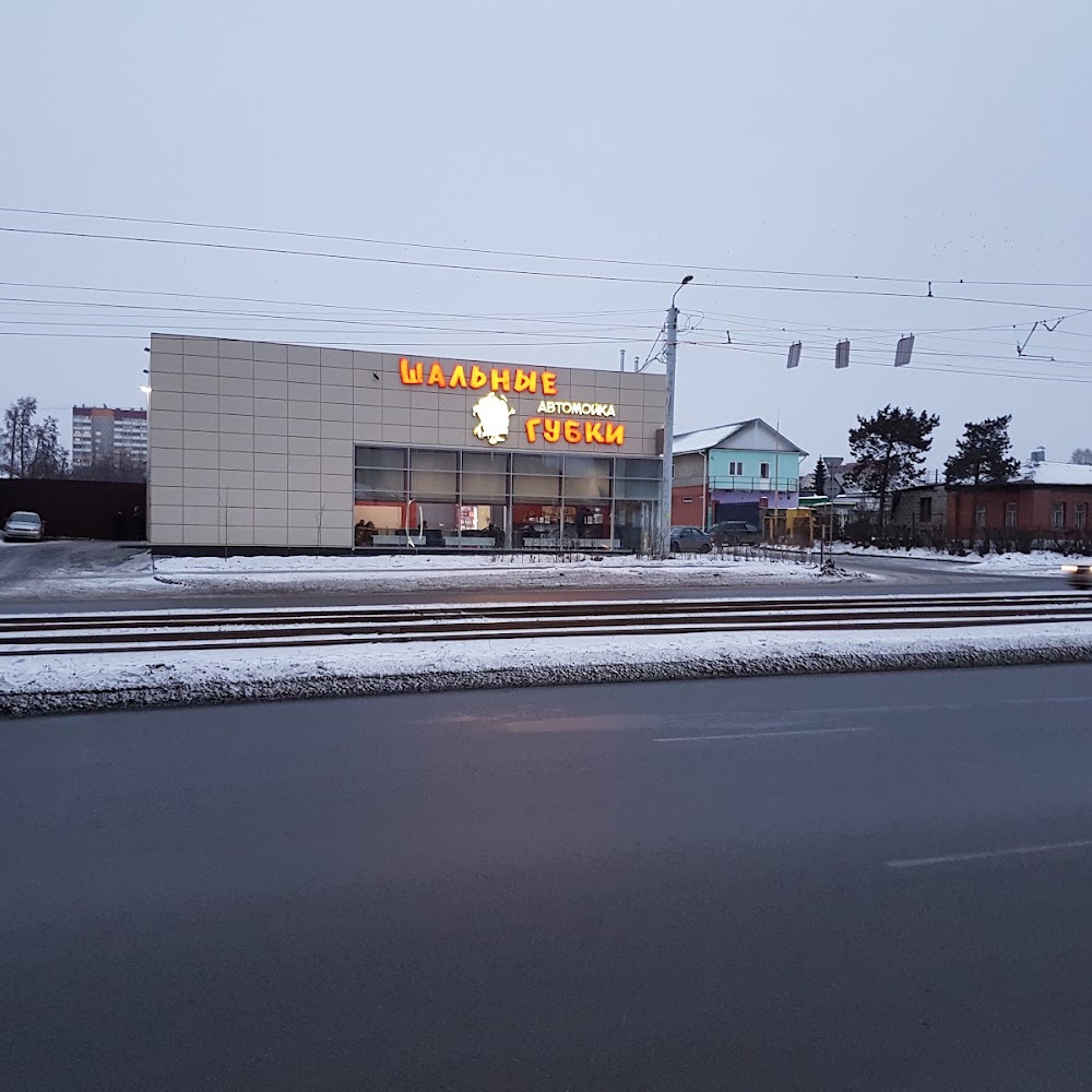 Шальные губки