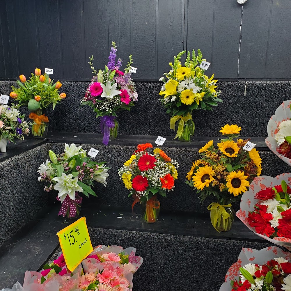 Dave's Flower Box