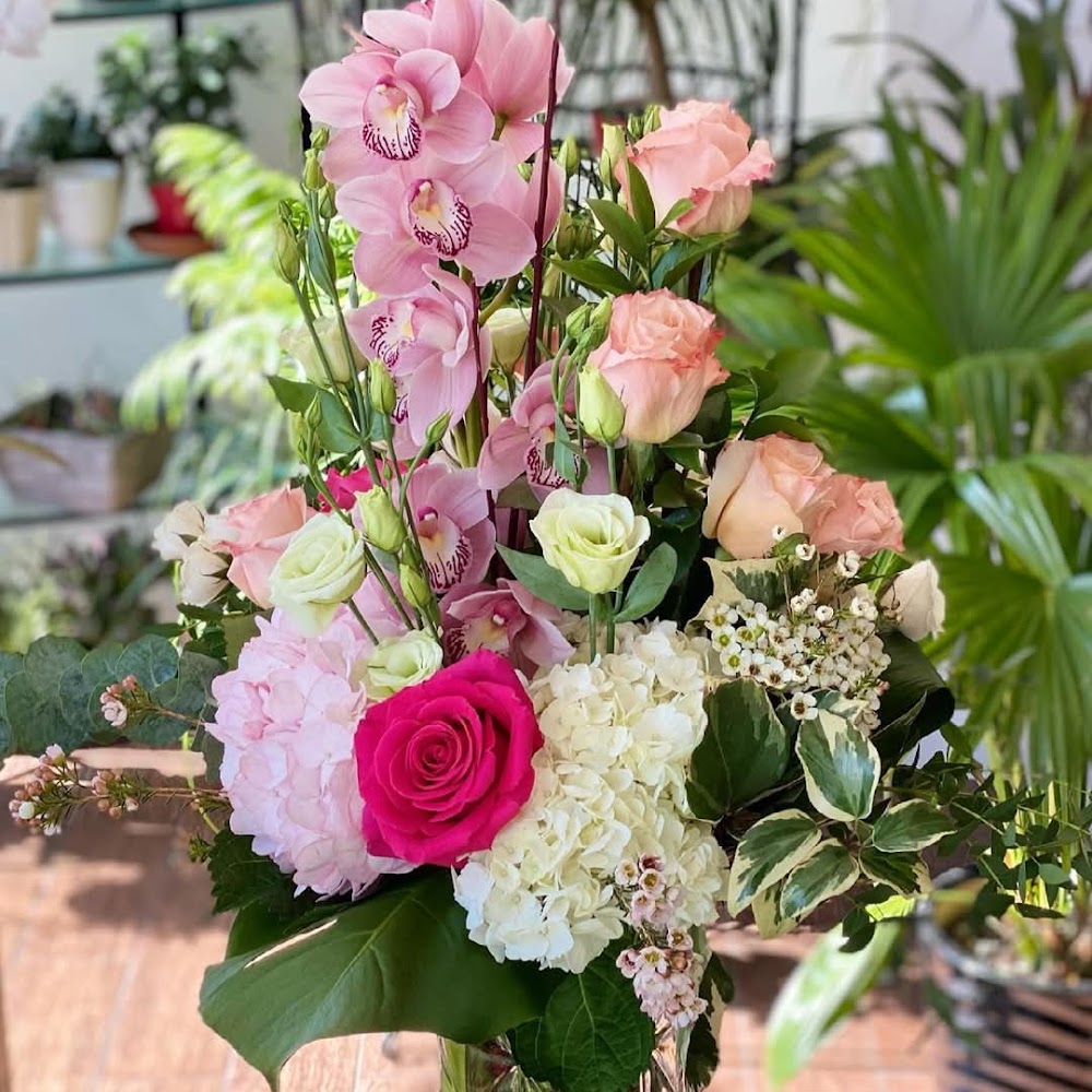 Dallas Flora Same Day Flower Delivery