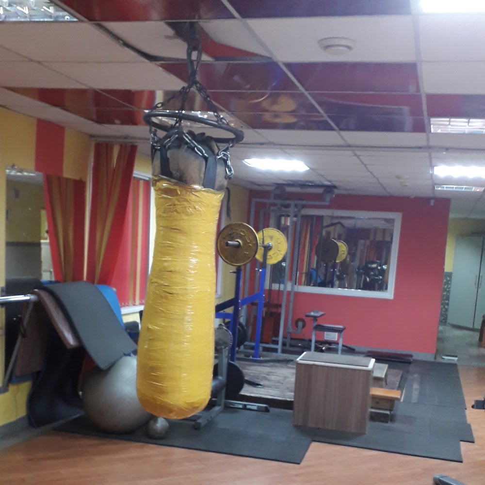 Тренажерный зал "Fitness land "