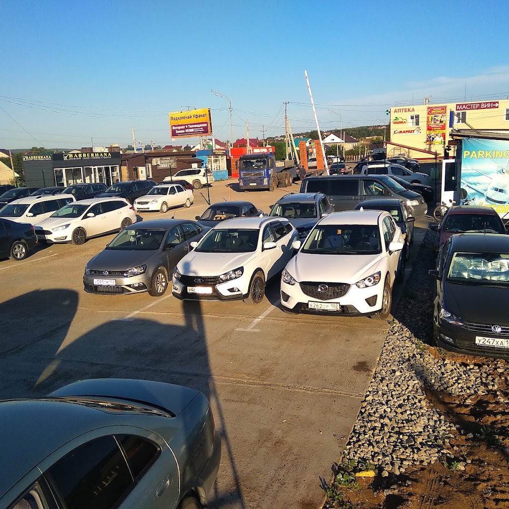 Авиатор