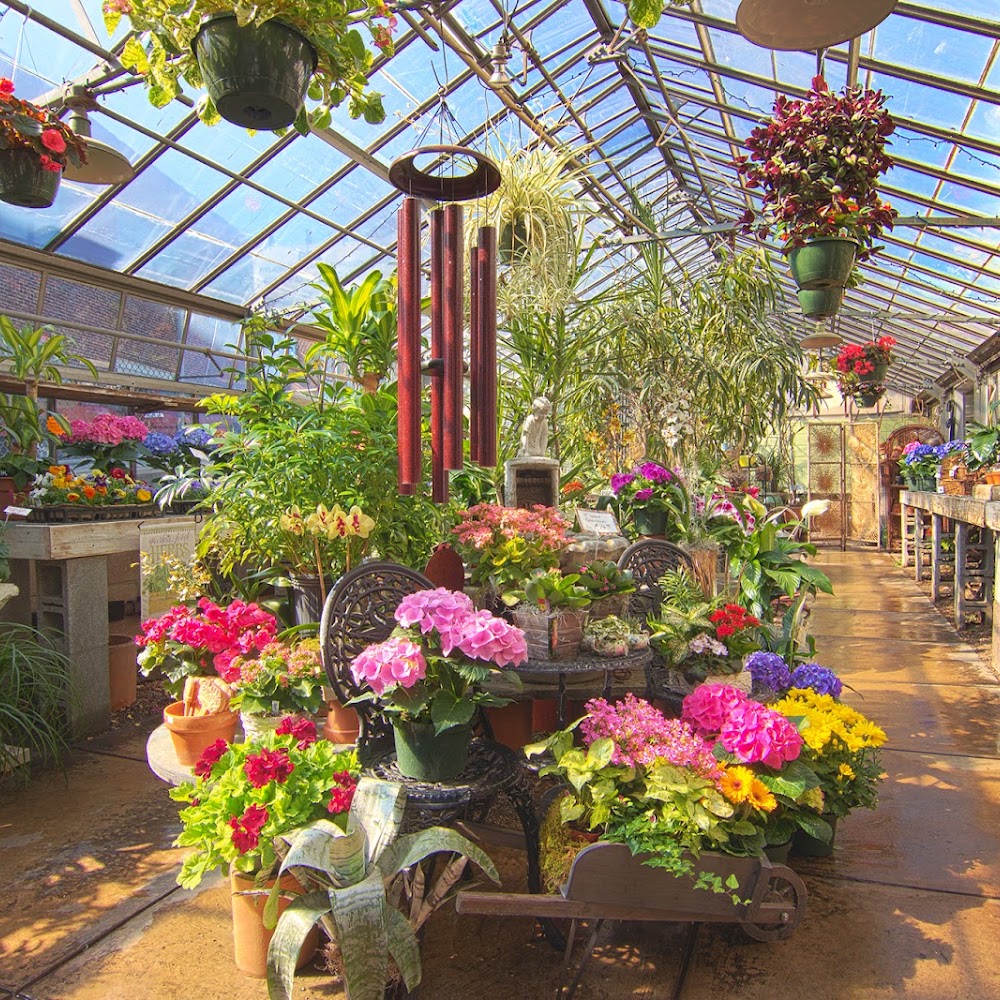 Rothe Florists & Flower Delivery