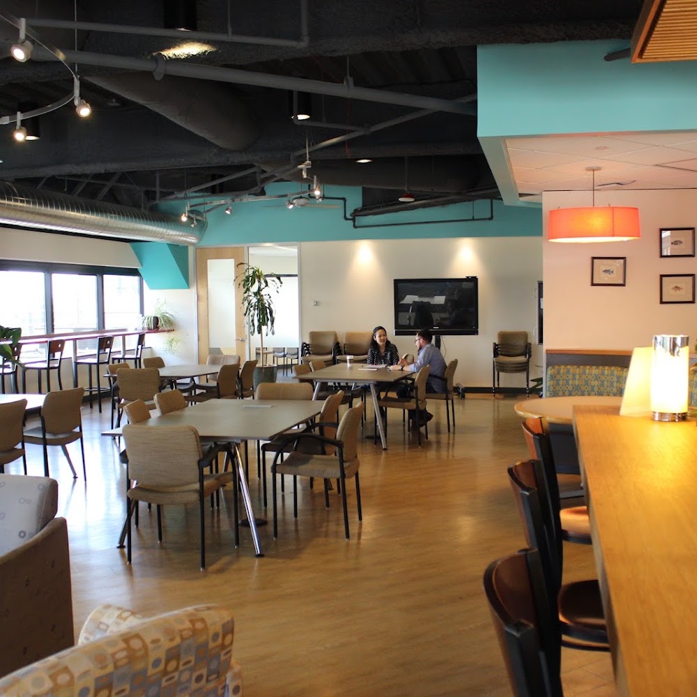 SURF Incubator