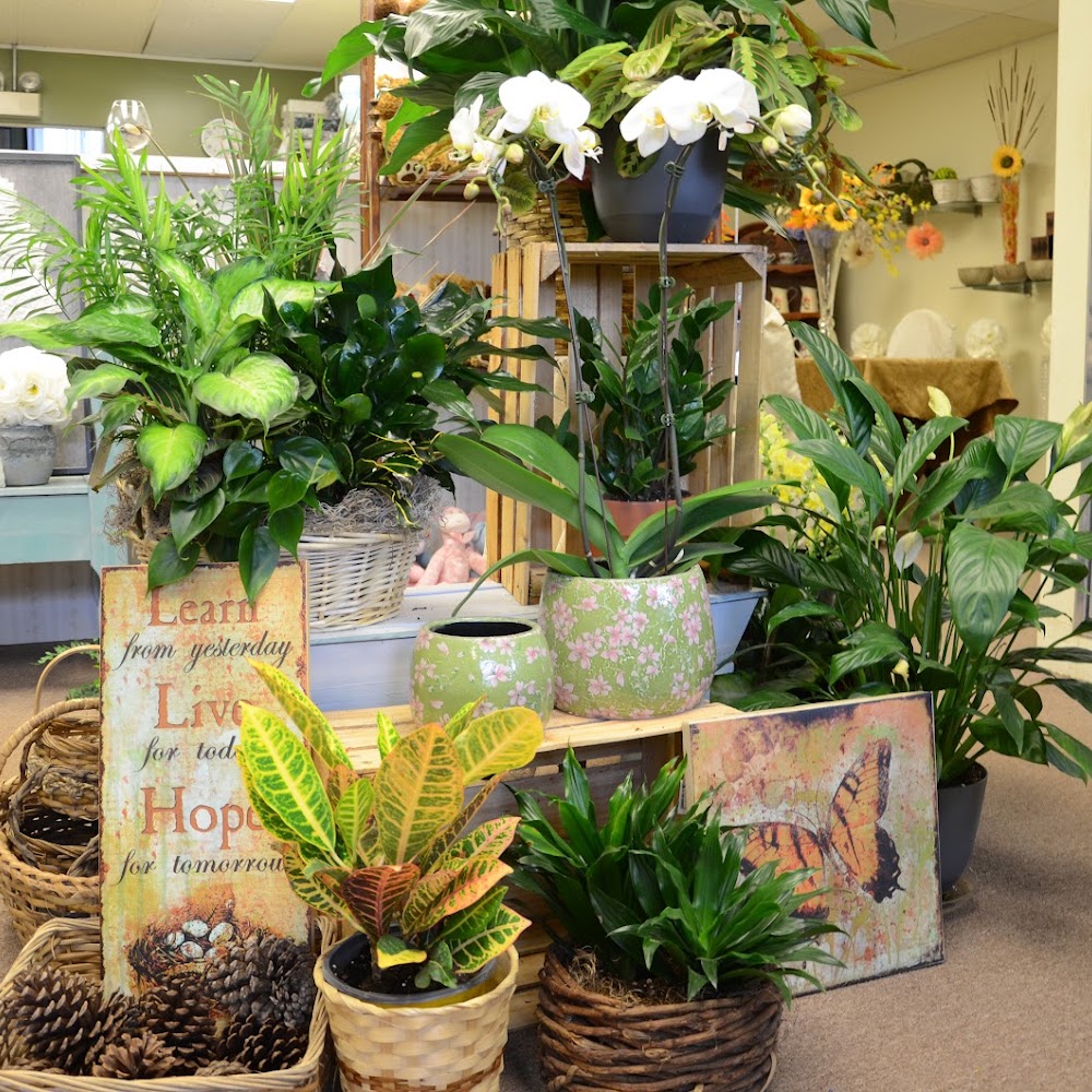 The Village Flower Shop LLC