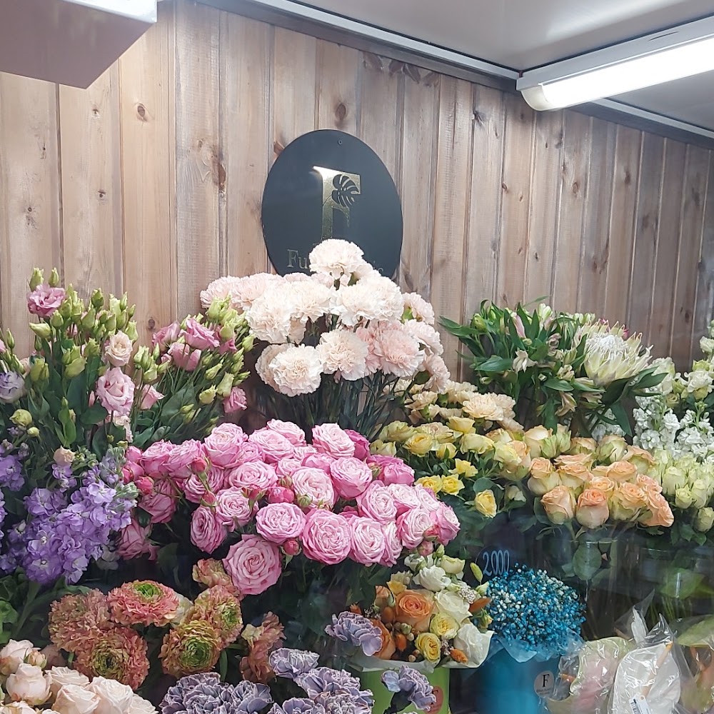 Fun floristic