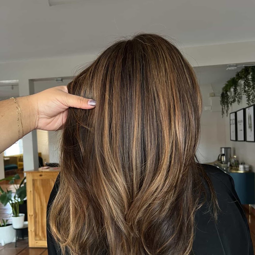 Shannontonio the Salon