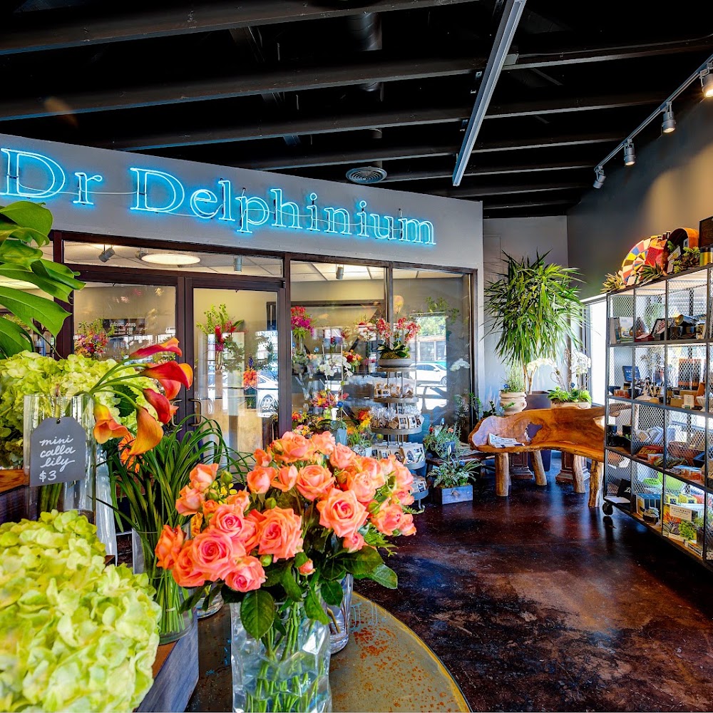 Dr Delphinium Designs & Events