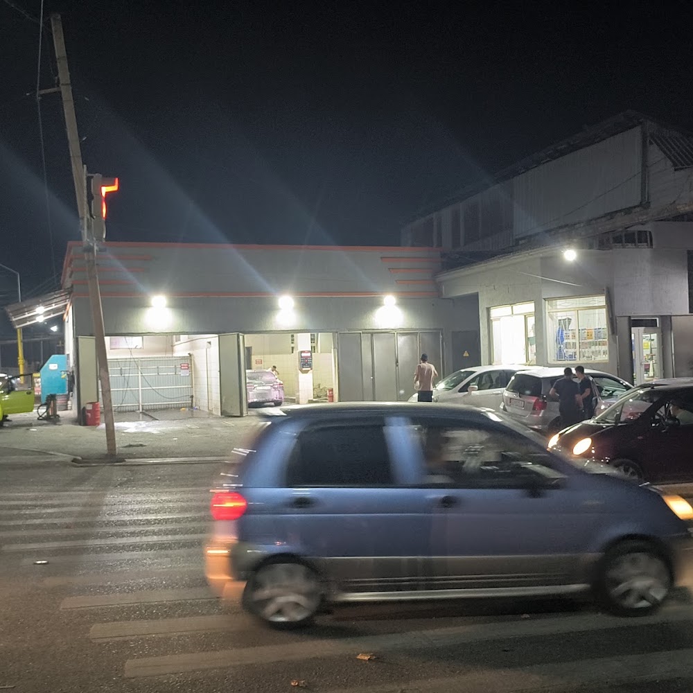 Самомойка тамчи