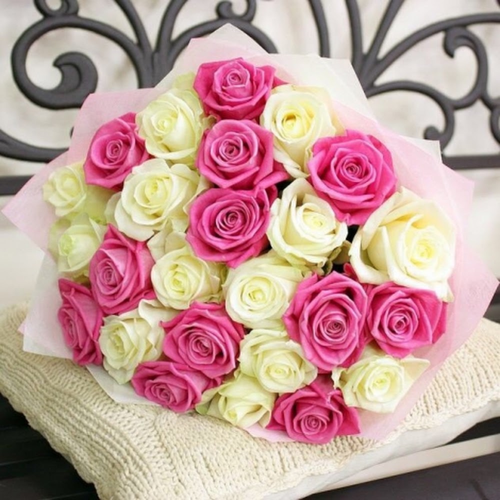 Redrose