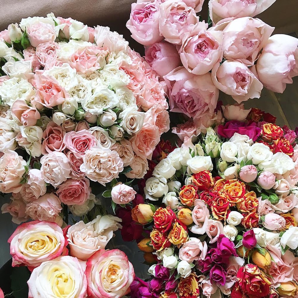 Queen Flowers Studio