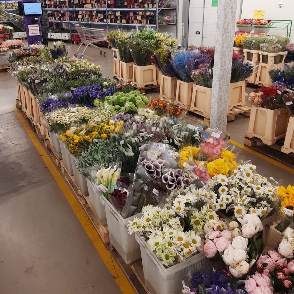 Гринвилль Cash & Carry