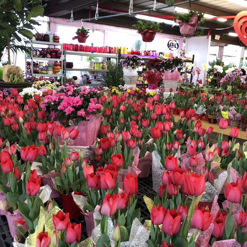 Fannin Flowers