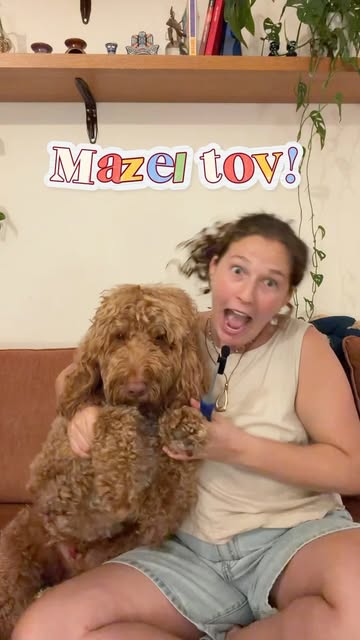 So you just moved to Israel with your dog… but now what do you do? Here’s a list of important first steps to take to make sure you set up…