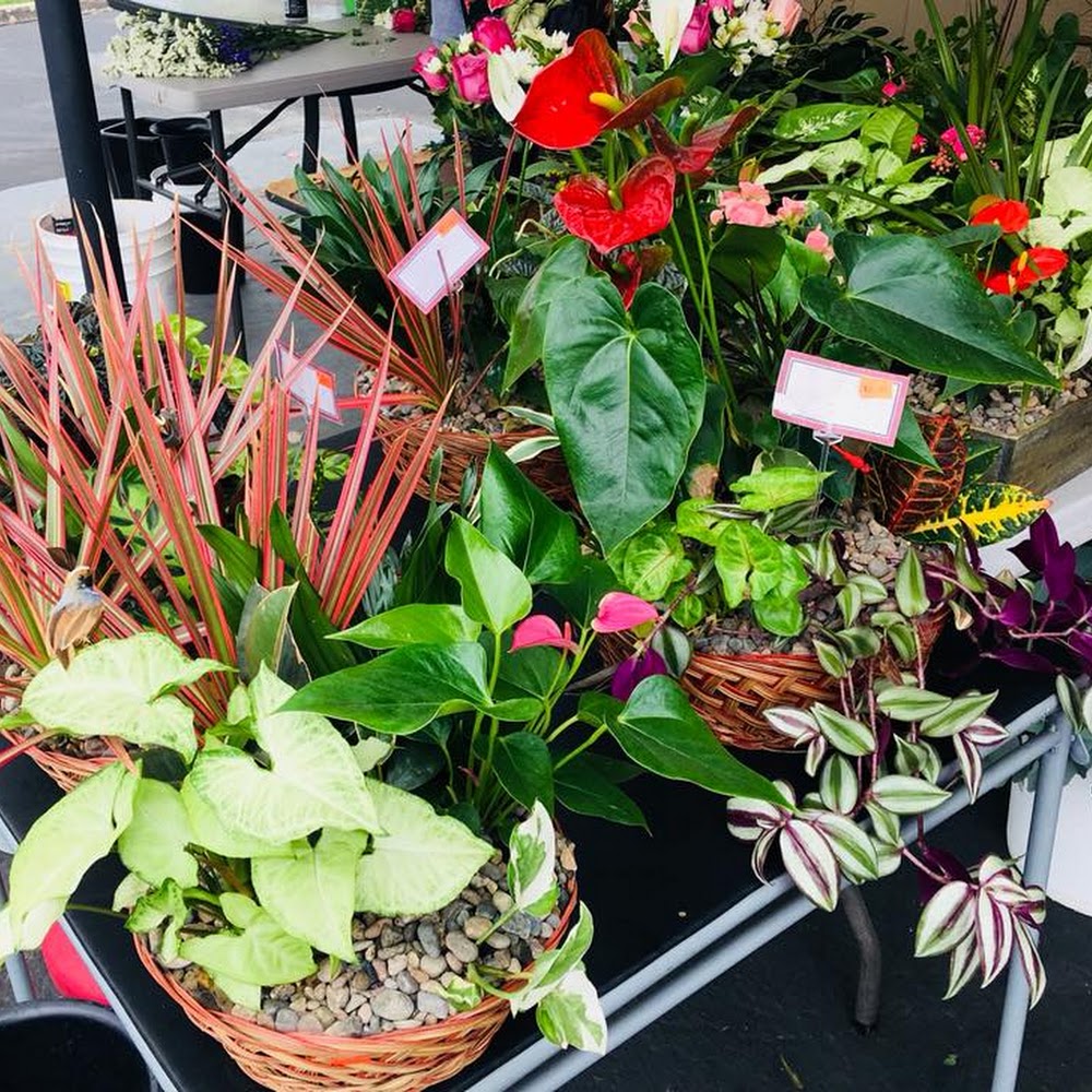 The SD Flower Shop