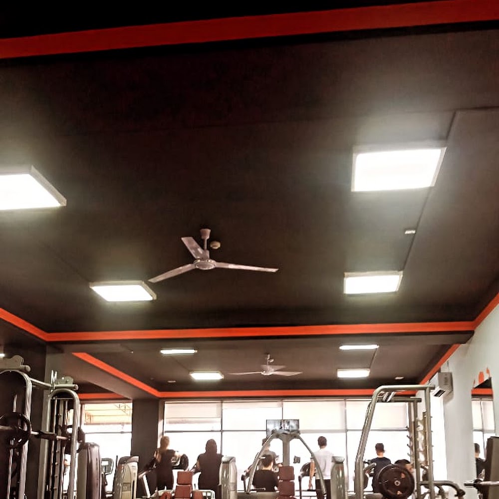 FitnessBlitz