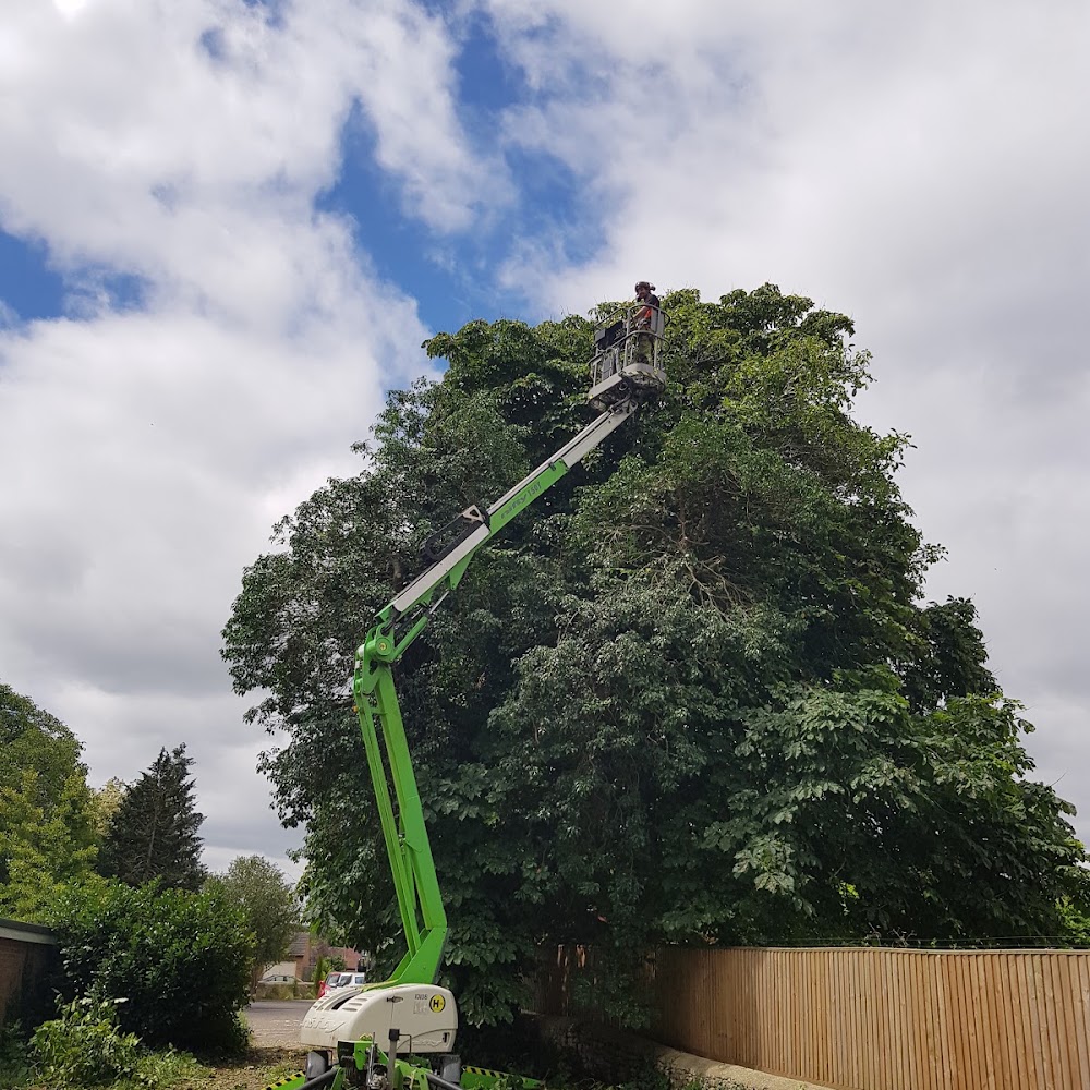 Oxford Tree Surgeons Ltd