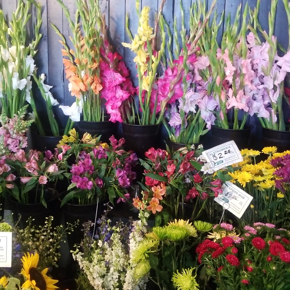 Phoenix Flower Shops - 19th Ave & Union Hills Location
