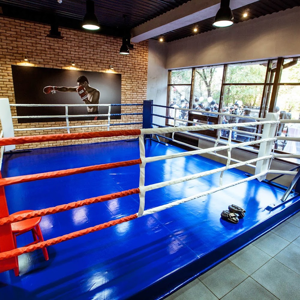 SK Boxing