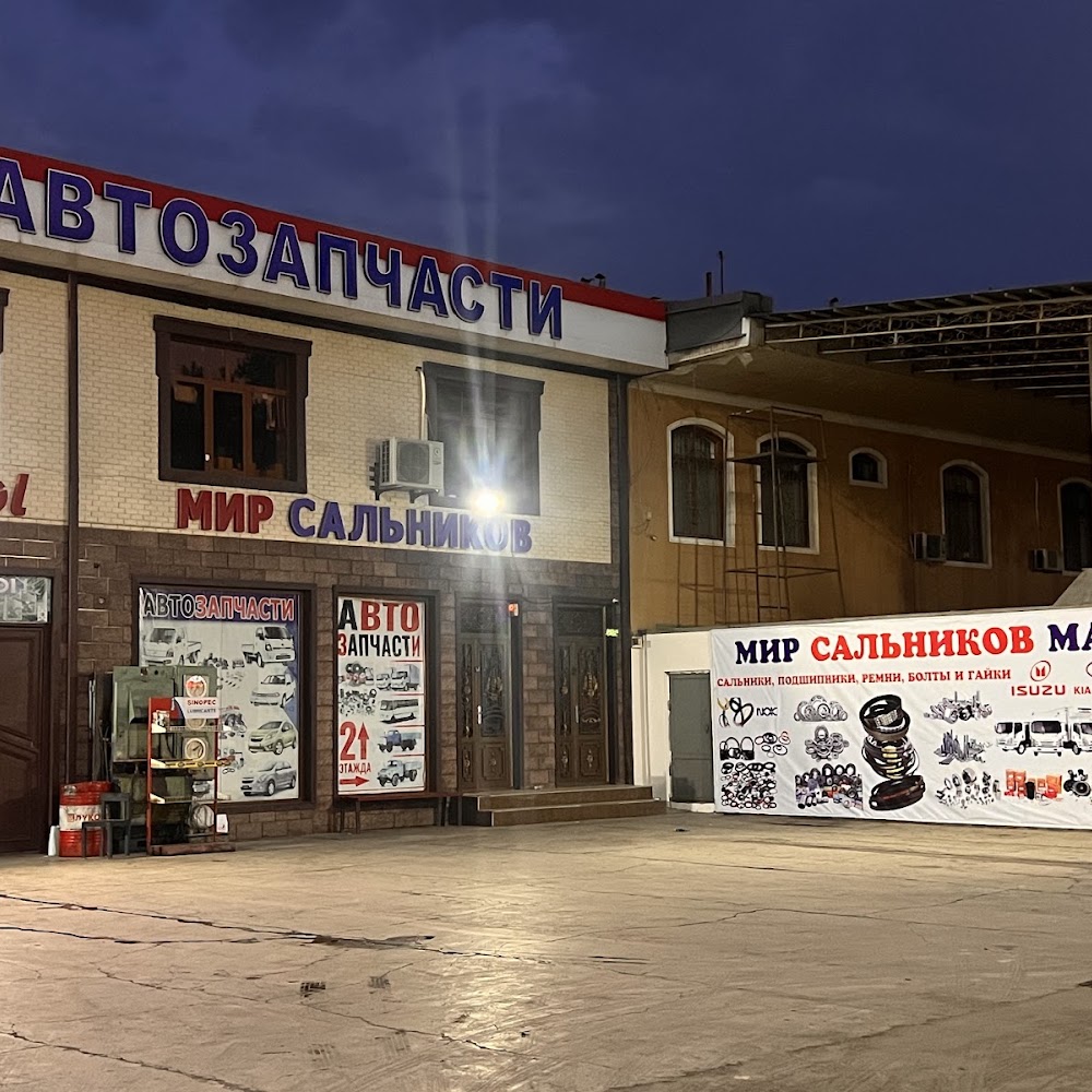 Mir Sal'nikov