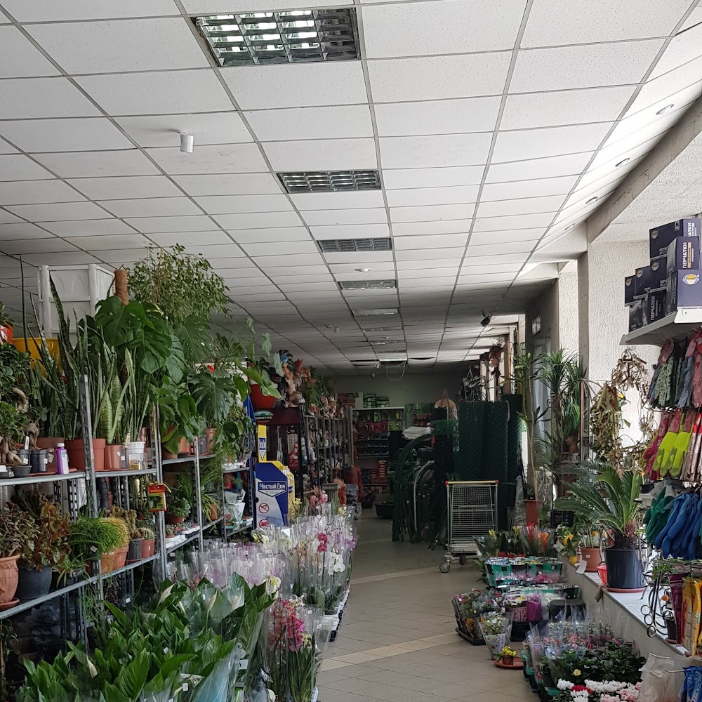 Садовый центр