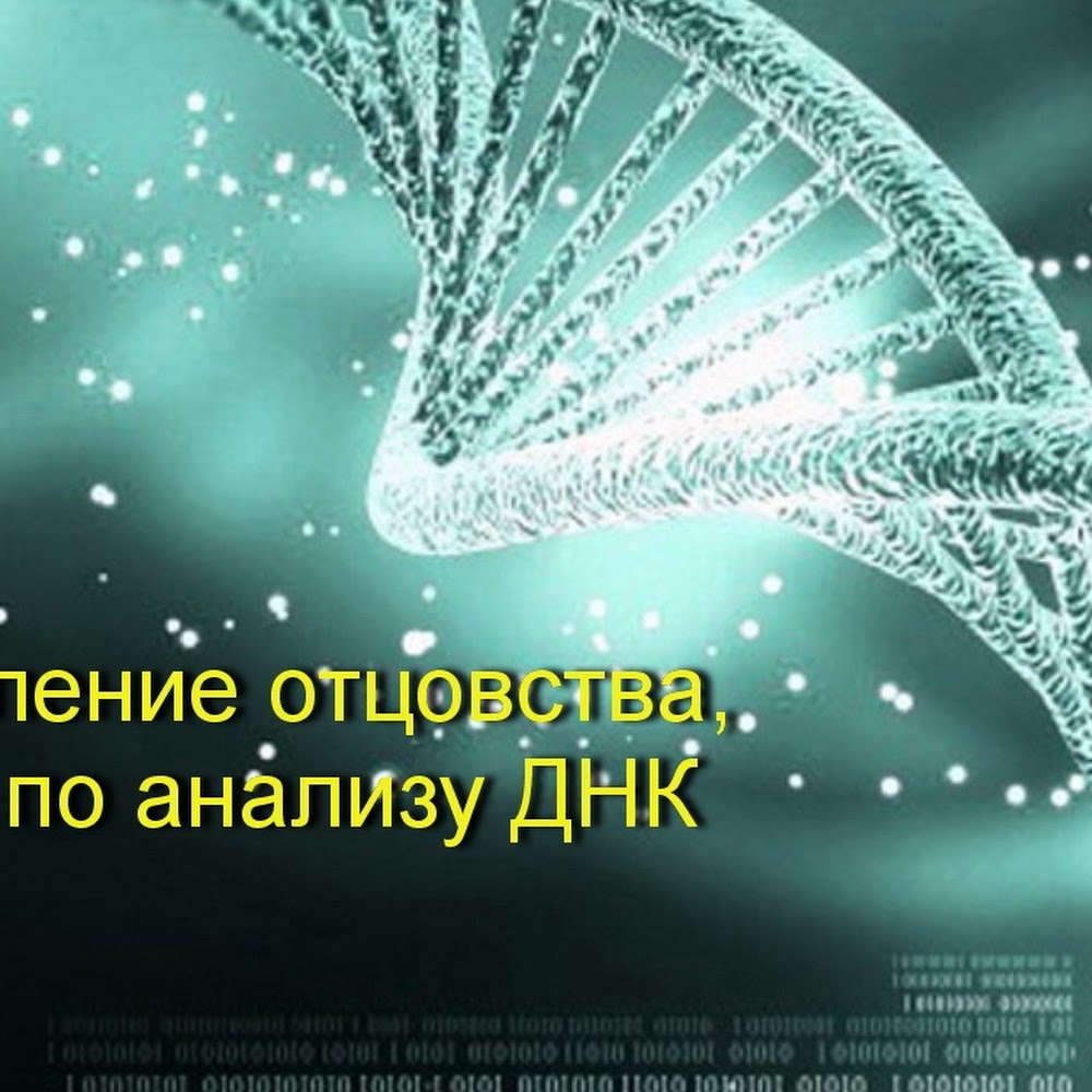 DNA Test - ДНК Тест Кокшетау