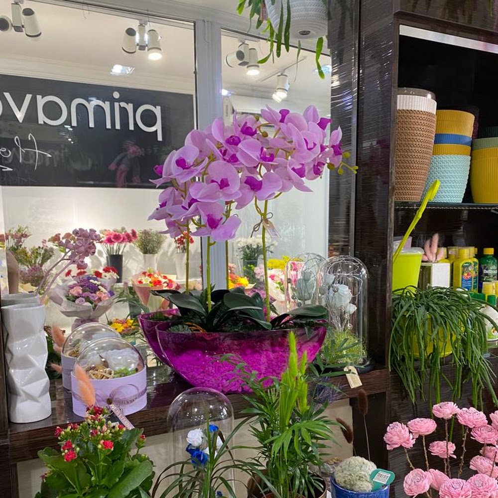 Primavera Flowers