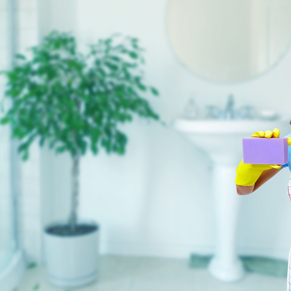 ER Home Cleaning