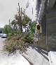 доставка цветов в волгограде