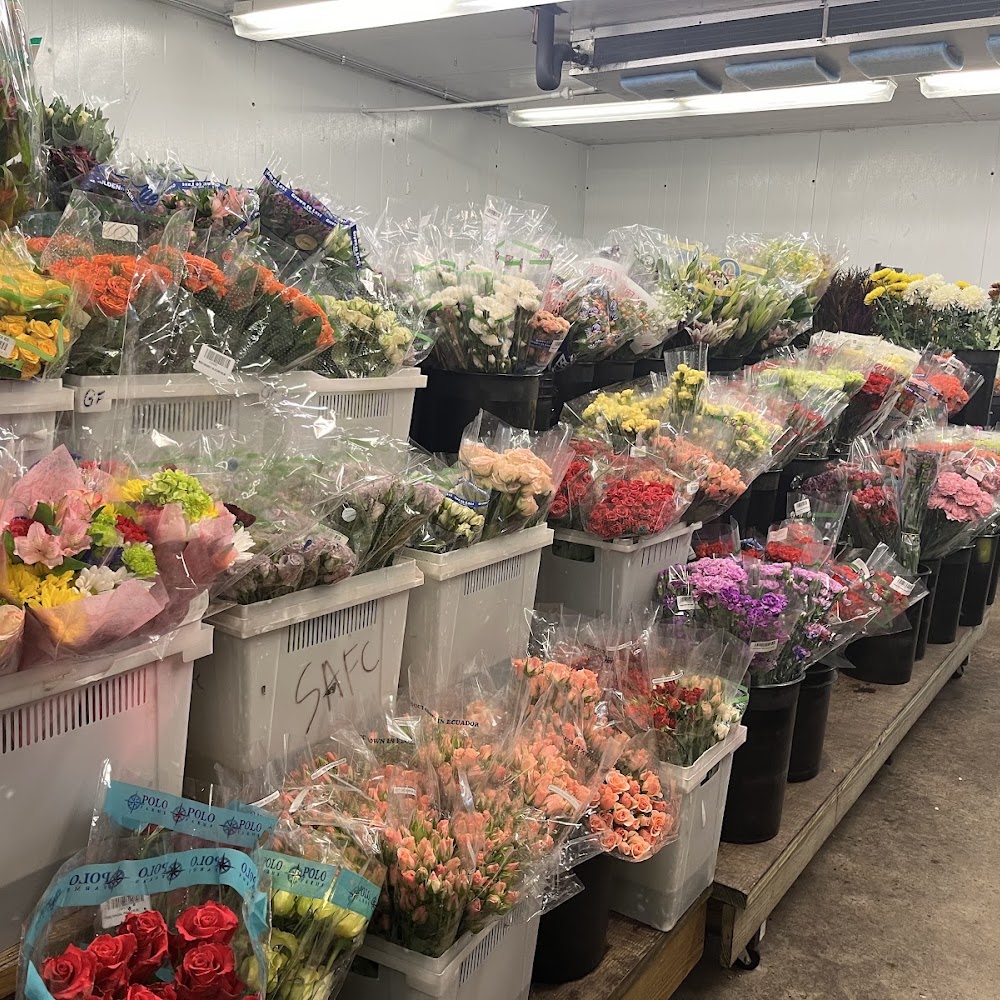 San Antonio Flower Co