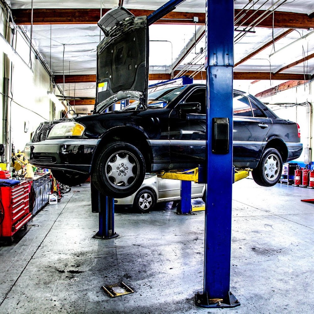 Import Auto Specialists