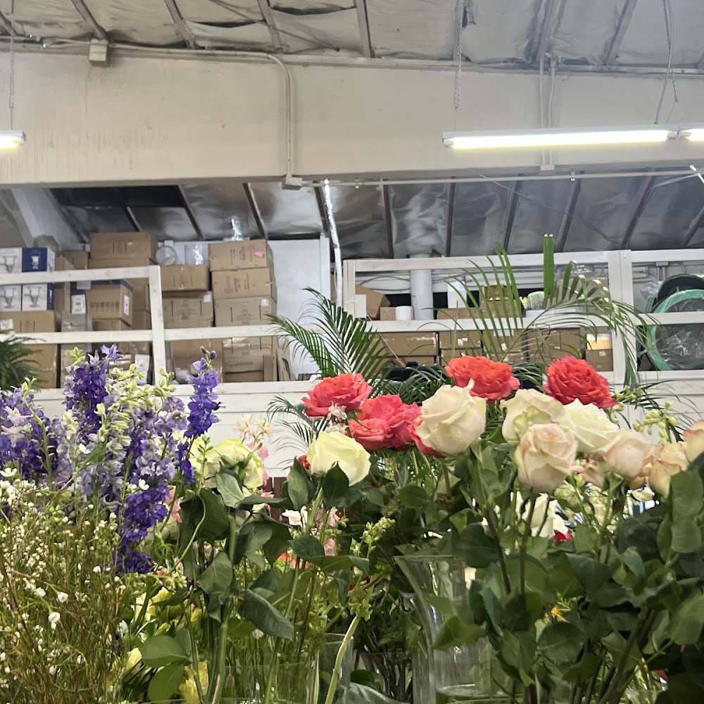 LA WHOLESALE FLOWERS