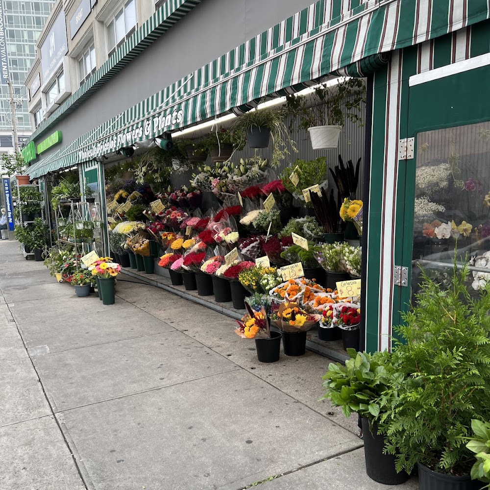 flower shop bklyn