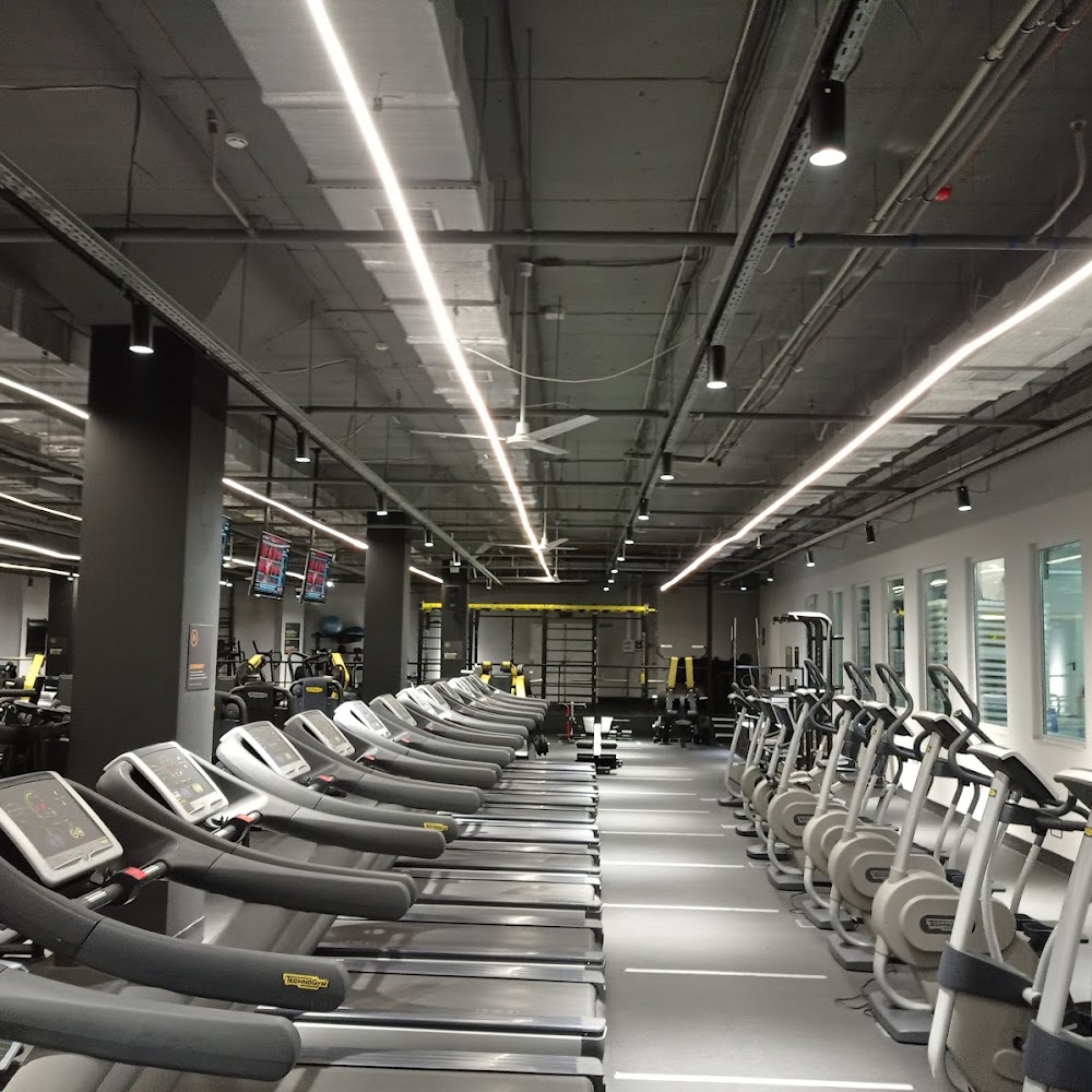 Alex Fitness