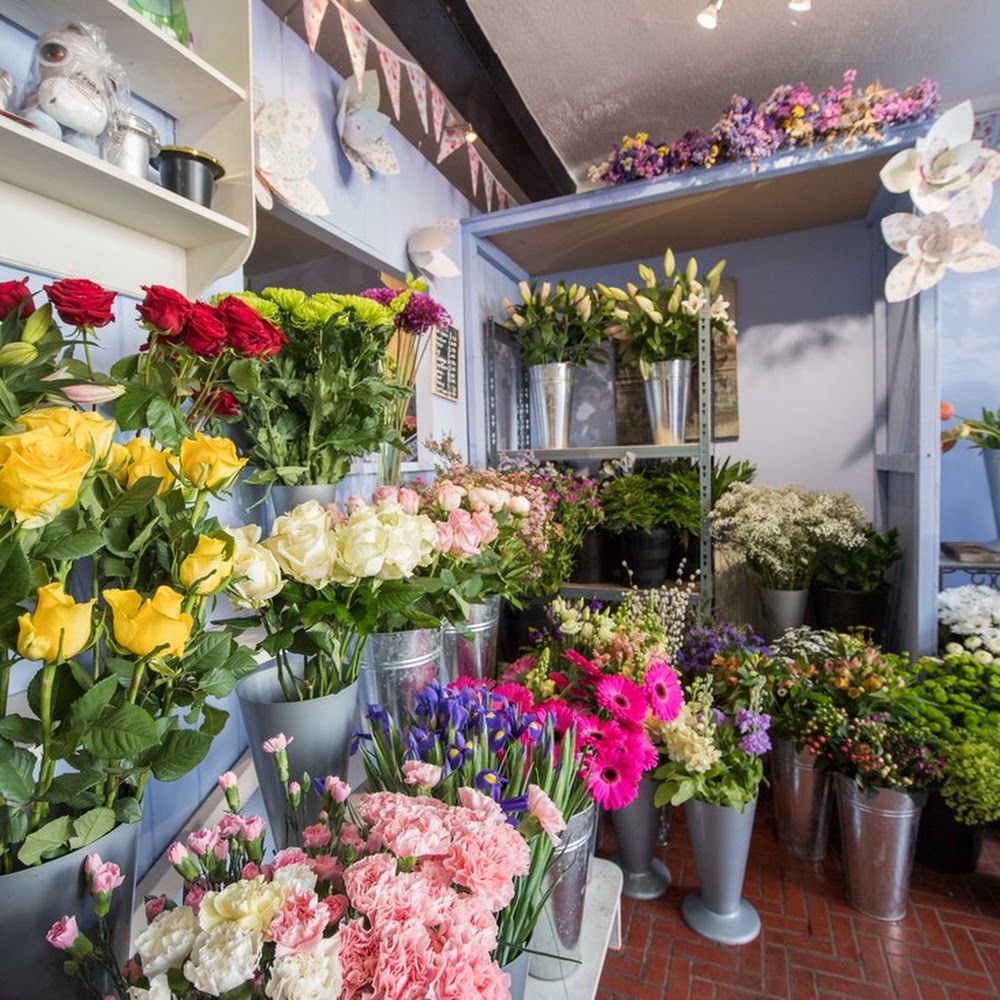 Balboa Florist