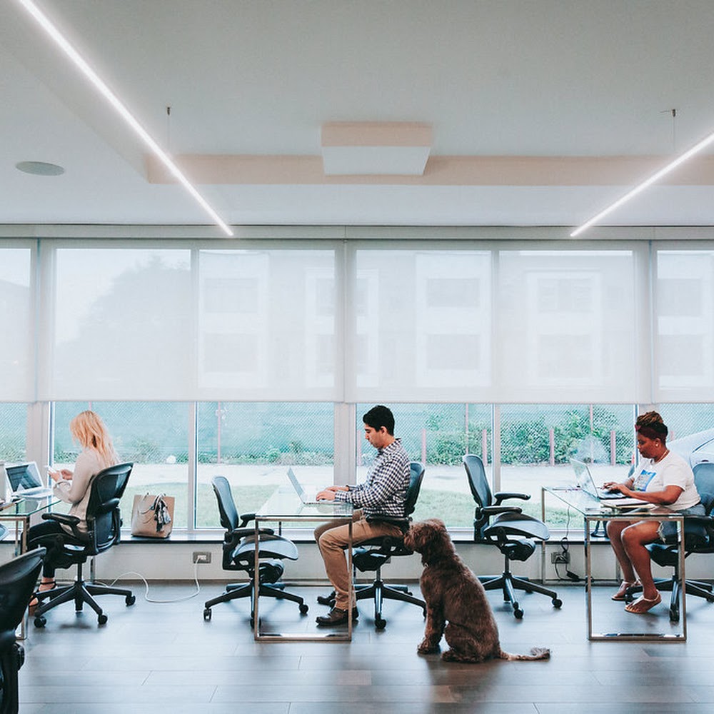 University CoWork Chicago Office
