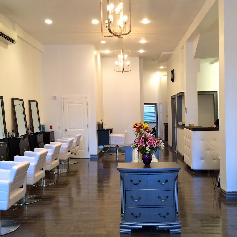 Salon V