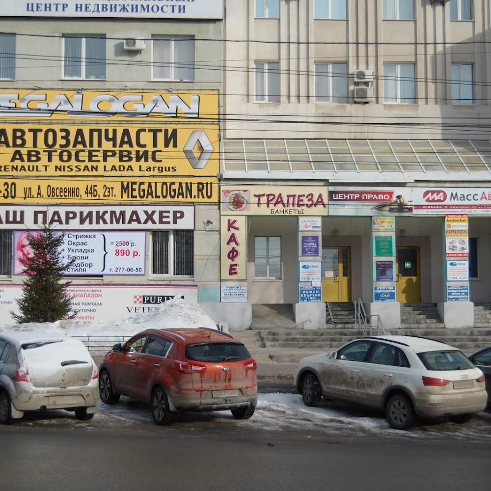 Мегалоган , запчасти Рено Самара