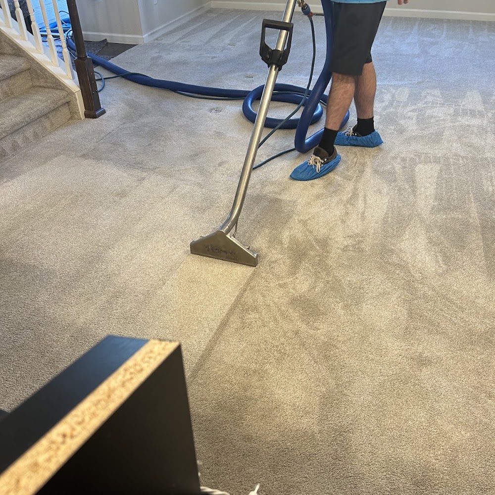 Zerorez Carpet and Air Duct Cleaning of Denver