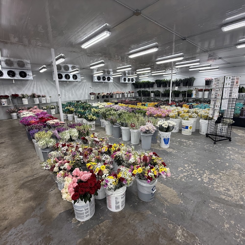 Houston Wholesale Flowers