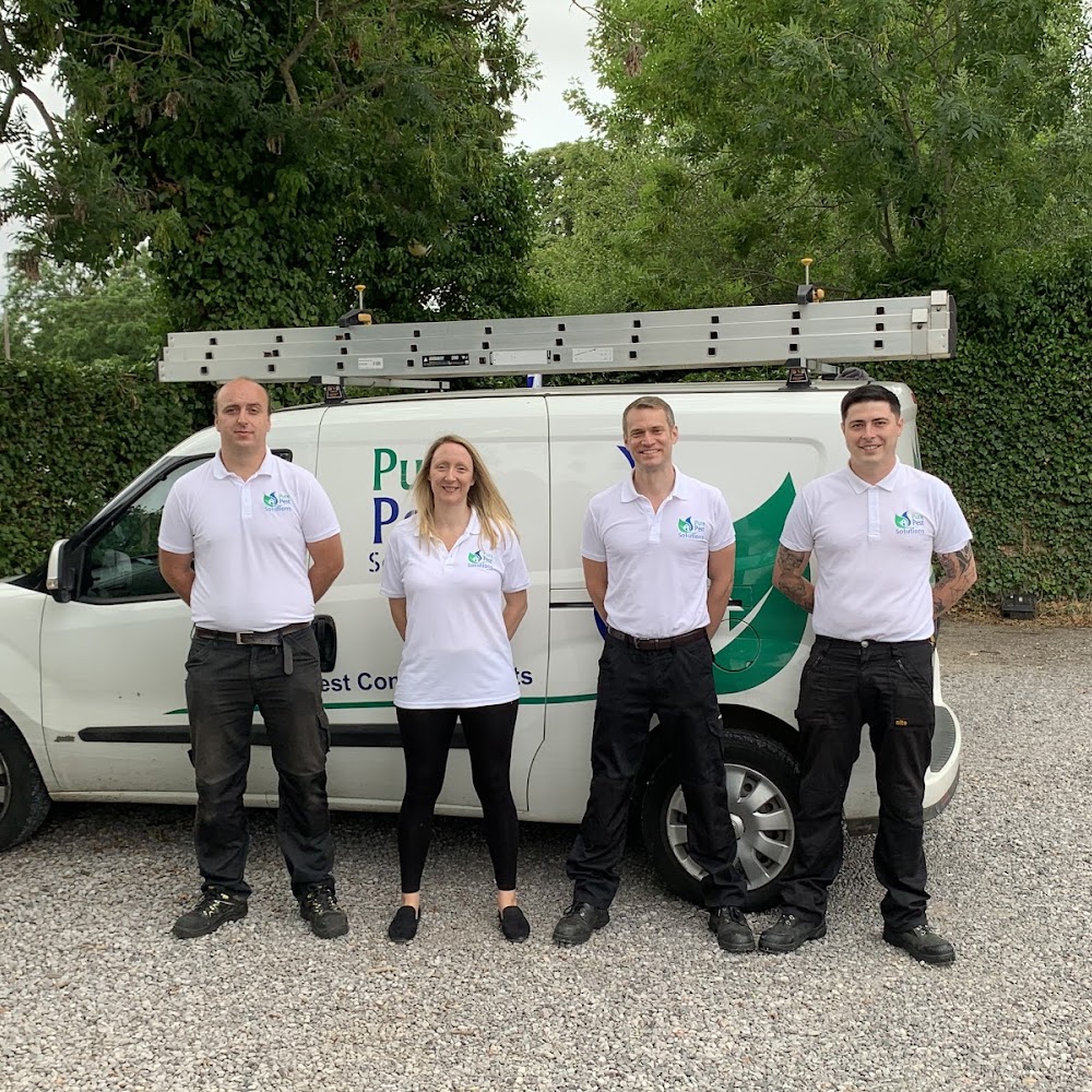 Pure Pest Solutions