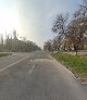 Сауле самса