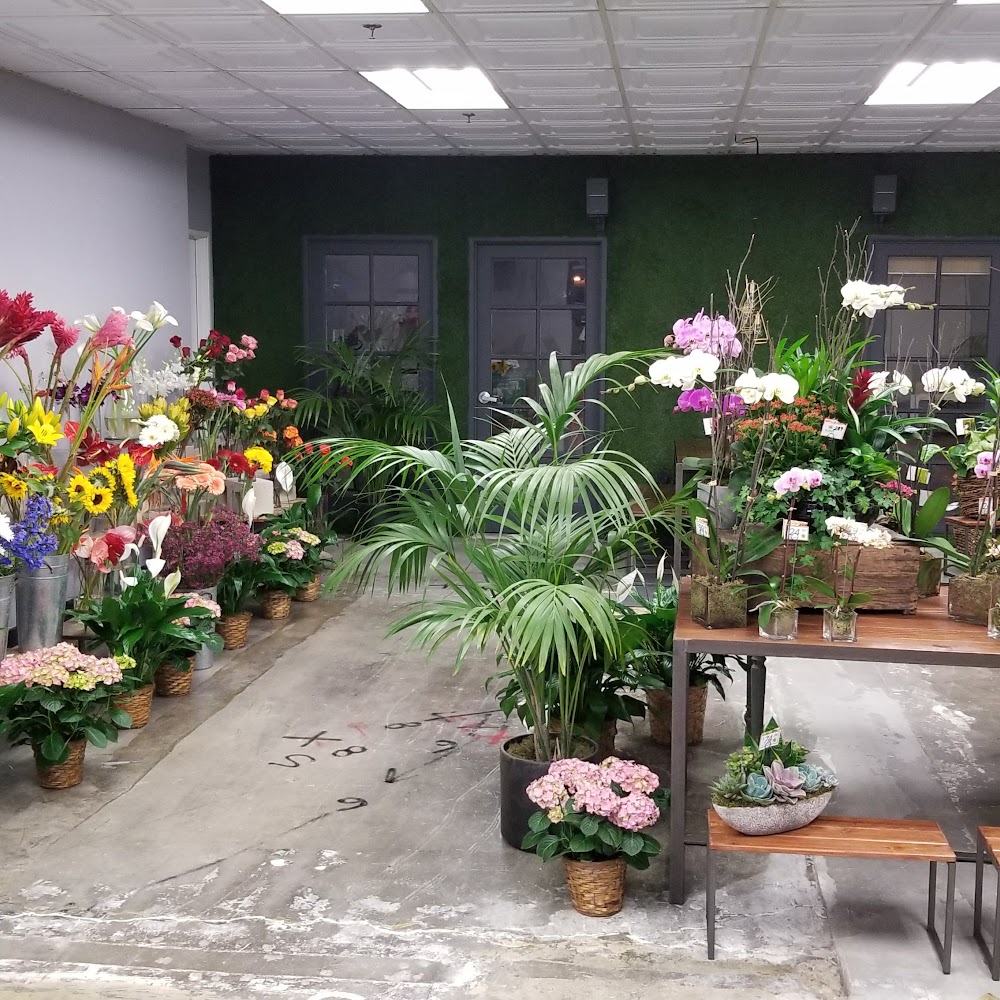 Allen's Flowers & Plants
