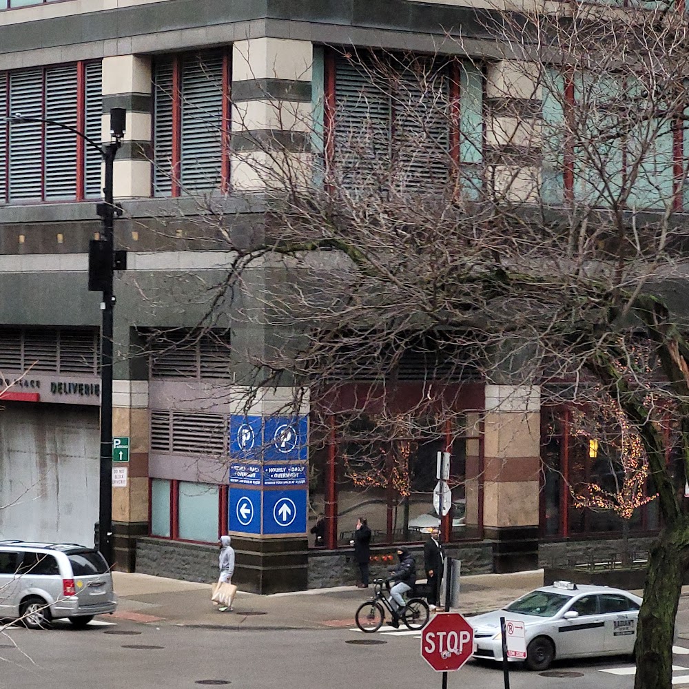 Chicago Place Garage