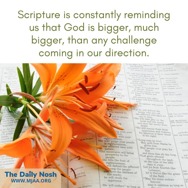 www.mjaa.org
The Daily Nosh by Joel Chernoff: Suppose you say in your heart, ‘These nations are more numerous than I – how can I drive th…